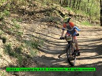 IMG 6773-001