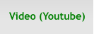 Video (Youtube)